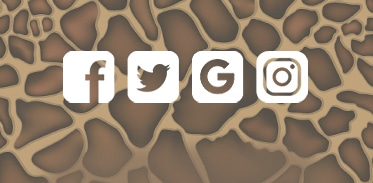 Share button